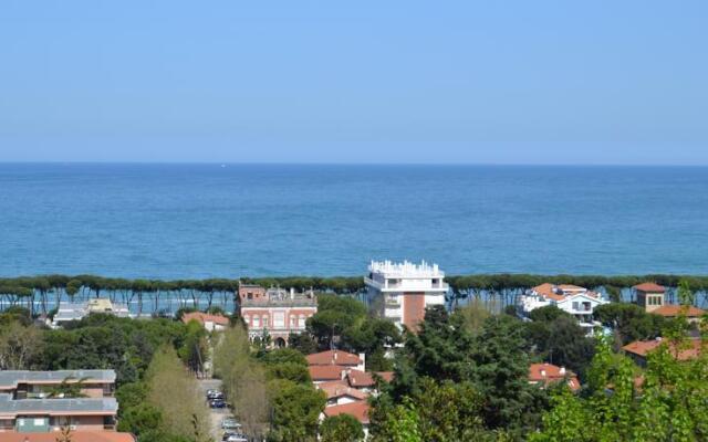 Domus Mediterranea