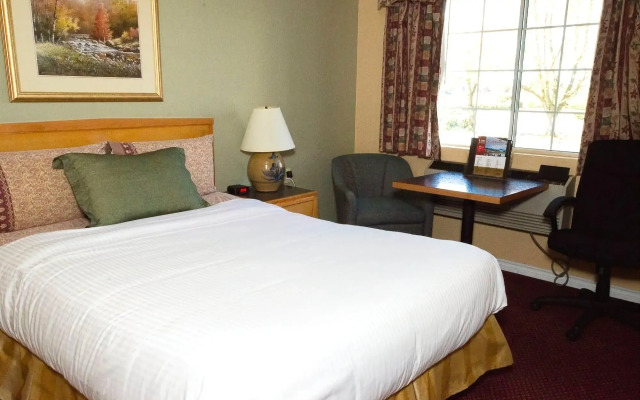Tulip Inn