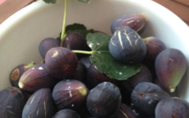 Finca Klara, Boutiquehotel - Apartment -Javea-Moraira-