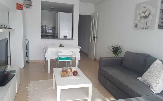 Homely Apartments Viña Laguna