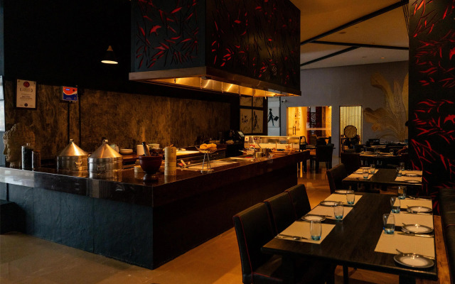 Radisson Blu Plaza Hotel Hyderabad Banjara Hills