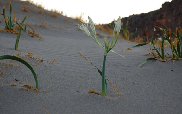 Stylish Villa, Private Pool, Large Garden, sea View, En-suite Bathrooms