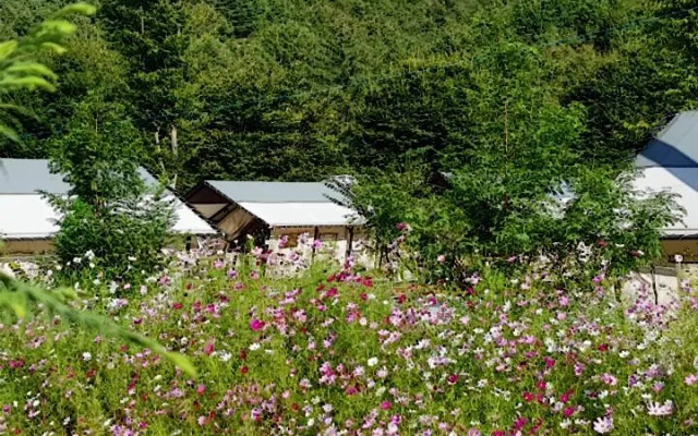 Baekwoon Gaegok Glamping