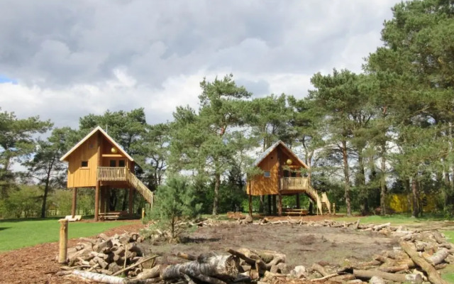 Wooden Chalet with Dishwasher near De Veluwe National Park