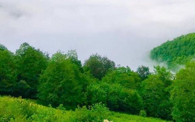 Sirt Yayla Butik Hotel