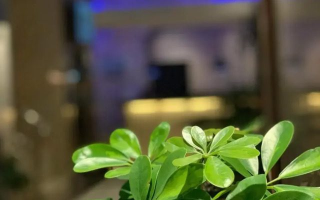 SAS RTL Hotel