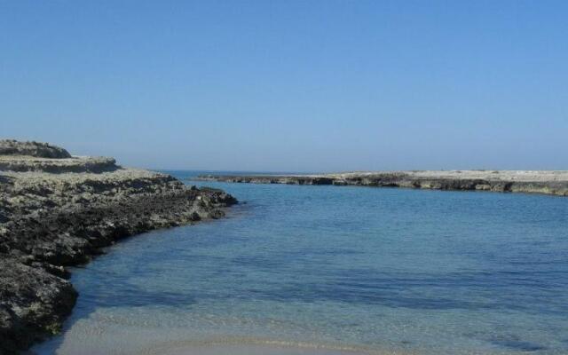 Trullo Sottoleucalipto