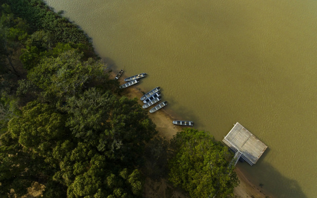 Porto Jofre Pantanal