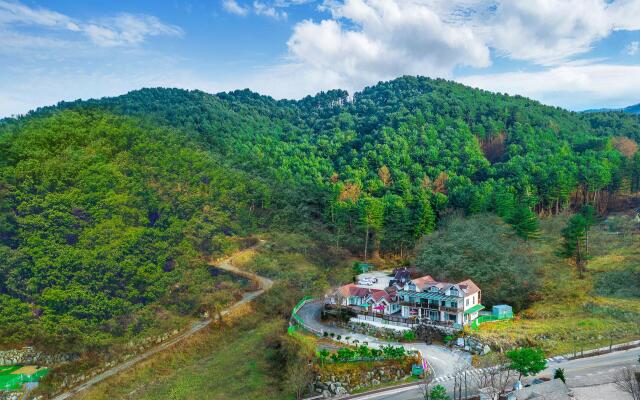 Gapyeong Gold Castle Pension