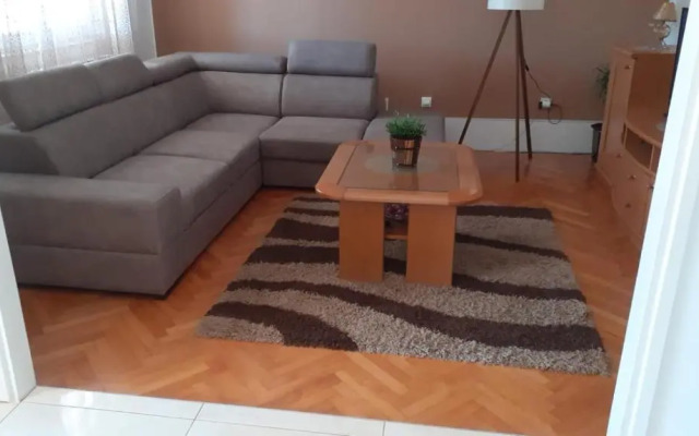 Apartment Viki