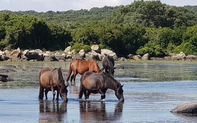 Location Sardinia Borgo Antico XIX
