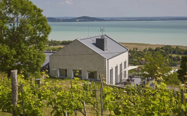 Villa Patzay Borhotel