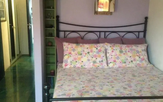 Mole'N Room
