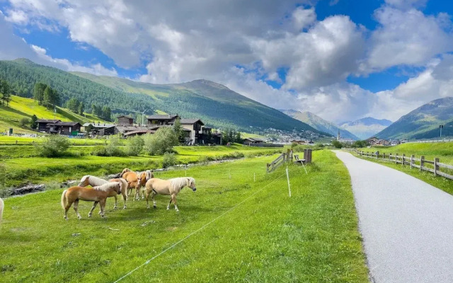 Vetta in Livigno With 1 Bedrooms and 1 Bathrooms