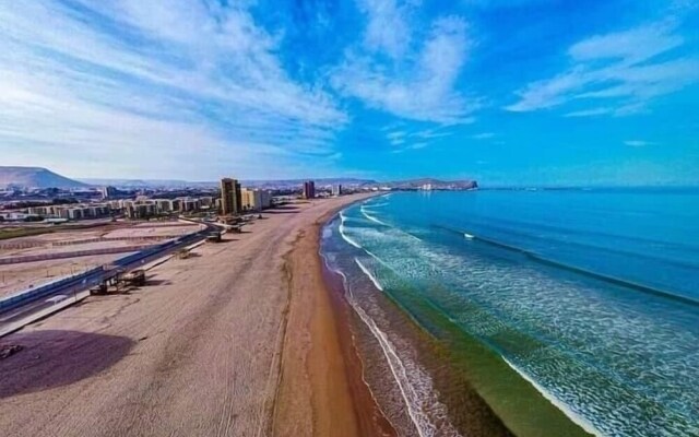 Pacifico Arica Parque Socoroma