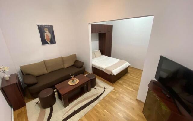 Ultracentral Studio Apartment in Victory Square