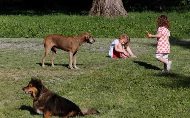 Locanda Antico Fighèr