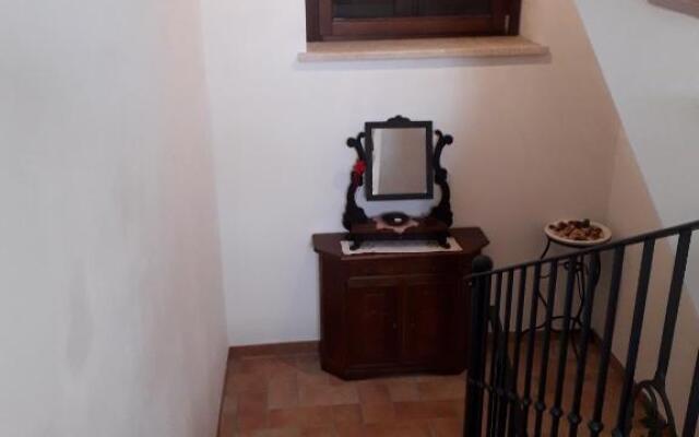 Sulla Strada Di San Francesco