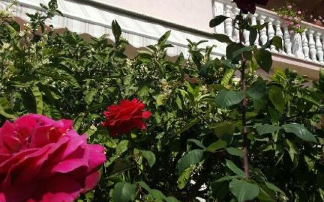 Apartmani Lucija