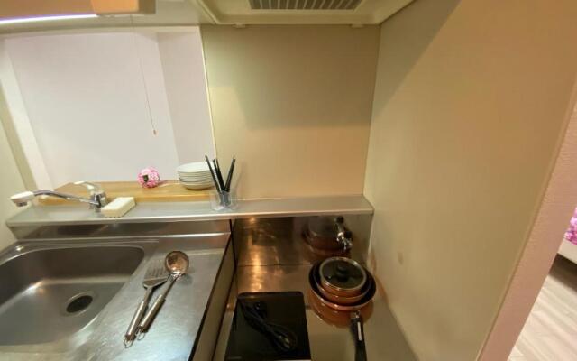 Downtown area Spacious cozy room Susukino IK301