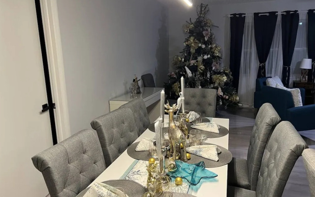 The Mermaid and the Sea Turtle