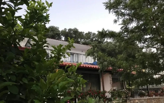villalithos studio 2