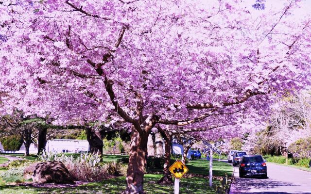 The Esplanade Motel & Conference Centre