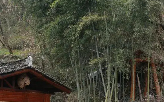 Wudangshan Taiziju Inn