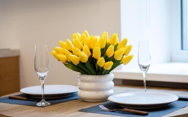 Brivibas House Design Apartments In City Center