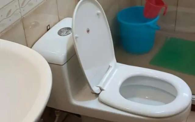 55 B Guest House