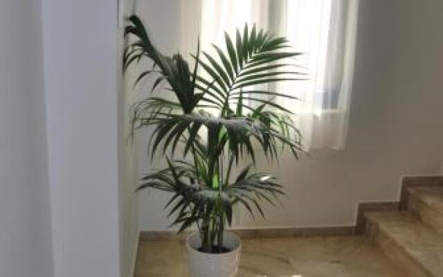 Argo Rooms
