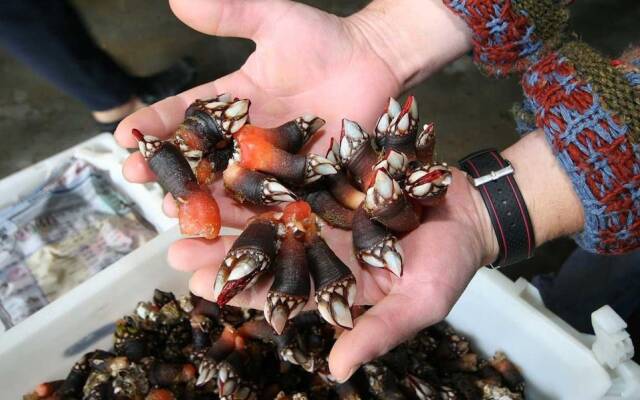 Apartment in Finisterre - 104559 by MO Rentals