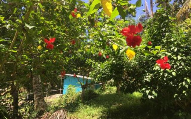 Real Dominican Republic Discovery