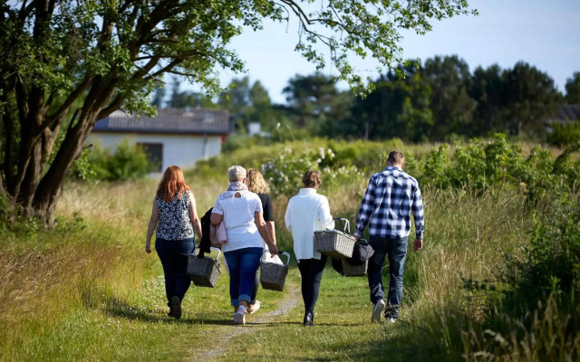 Kysthotellet Djursland