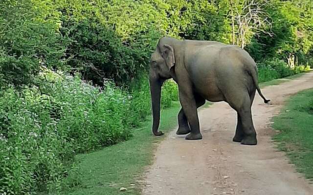 Elephant Lodge