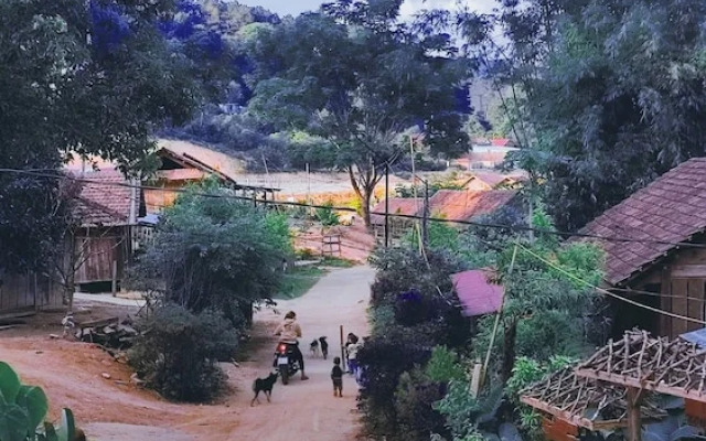 To Chim Ri Homestay Mang Đen