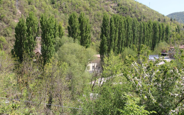 Sul sentiero di Francesco