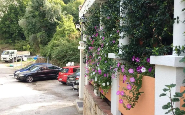 Olive Terrace Apartments 3