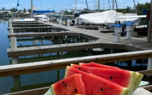 Hotel Roatan Dive And Yacht Club