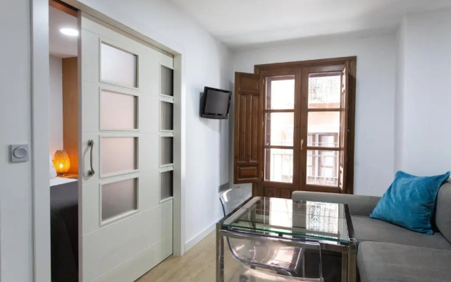 Apartamentos Elvira 21