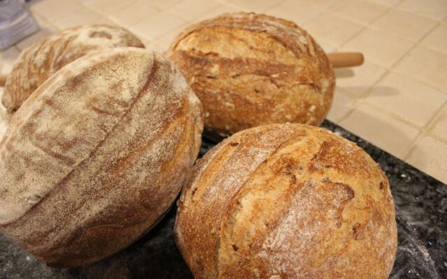 Ecolodge Selvitelle - Sustainable Retreat Amidst Olive Groves in Cilento