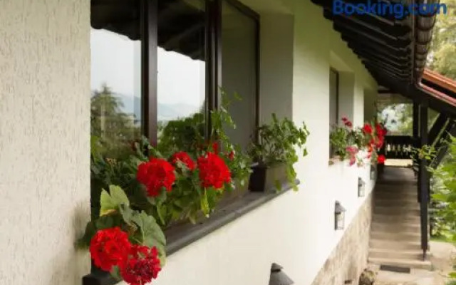 Pension Cabana Ionela