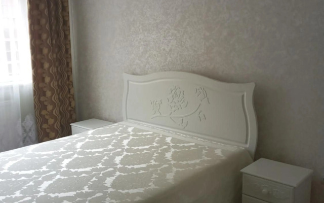 Шикарные апартаменты на ул.Княгини Ольги ,100К.