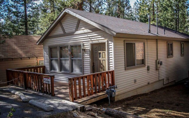 Cedar Pines 1529 by RedAwning