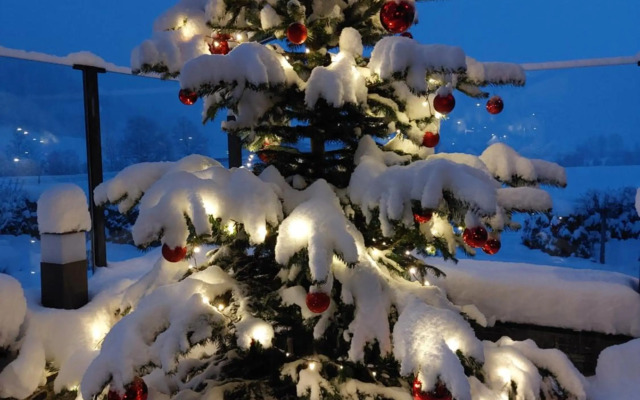 Appartement Tauernblick Radstadt