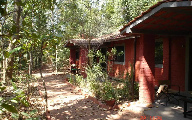 Kanha Jungle Lodge