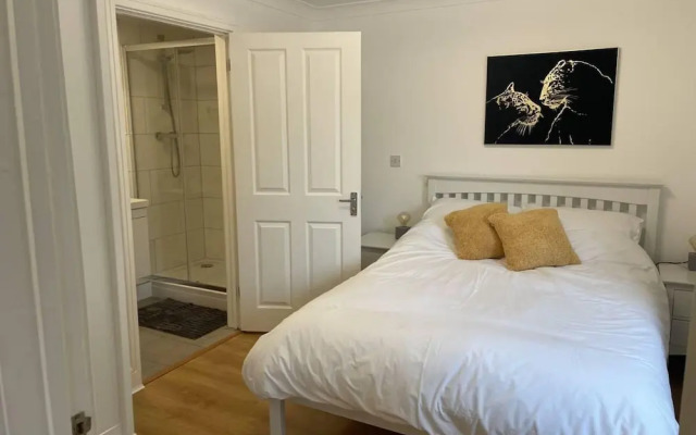 Modern The Mews Apartment