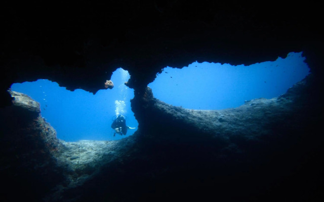 Apartments Kala mendula