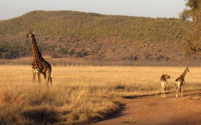 Woodlands Game Lodge Leisure
