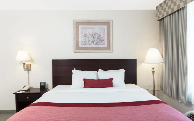 Spark by Hilton Tupelo